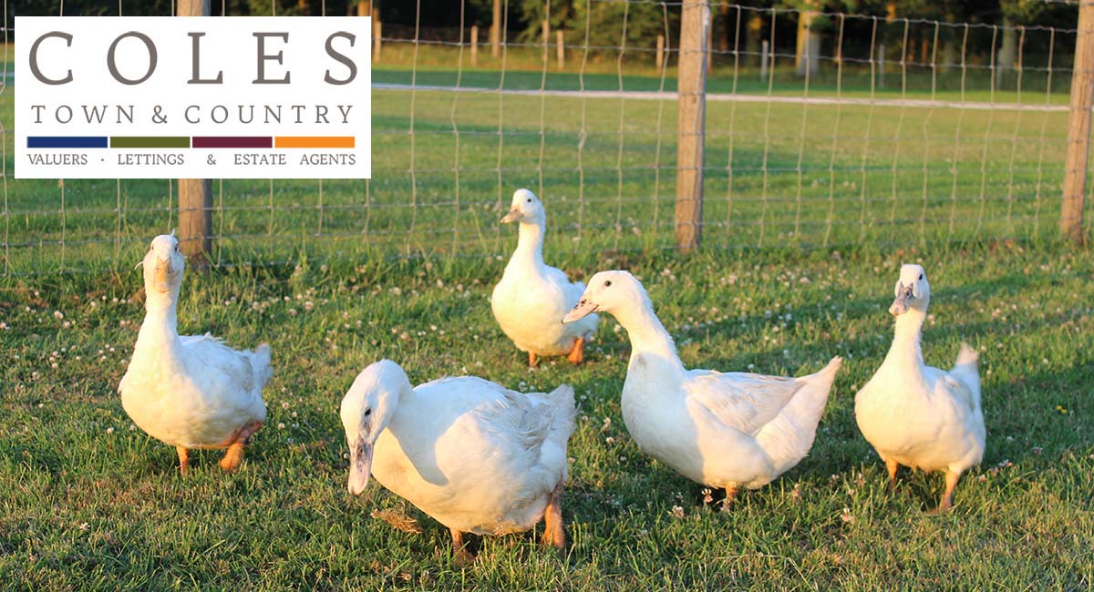 The Coles Group Estate Agent covering Maidstone and the Weald of Kent.