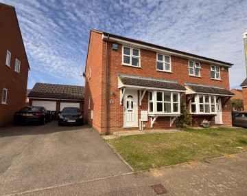 image of 29, The Hedgerow